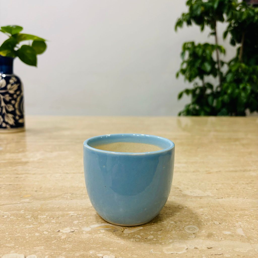 3 Inch Blue Classy Cup Ceramic Pot - Minimalist Glossy Succulent Pot, Indoor Flower Pot for Home and Office Decor