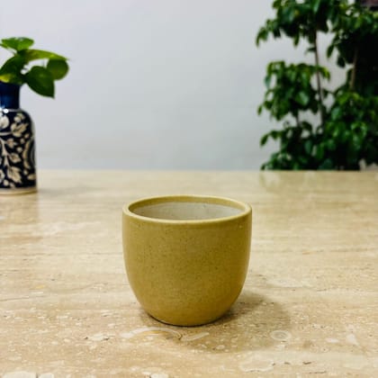 Buy 3 Inch Light Brown Classy Cup Ceramic Pot ? Minimalist Glossy Succulent Pot, Indoor Flower Pot for Home and Office D?cor Online | Urvann.com