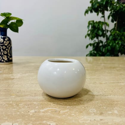 Buy 3 Inch White Classy Ball Ceramic Pot ? Minimalist Glossy Succulent Pot, Indoor Flower Pot for Home and Office D?cor Online | Urvann.com