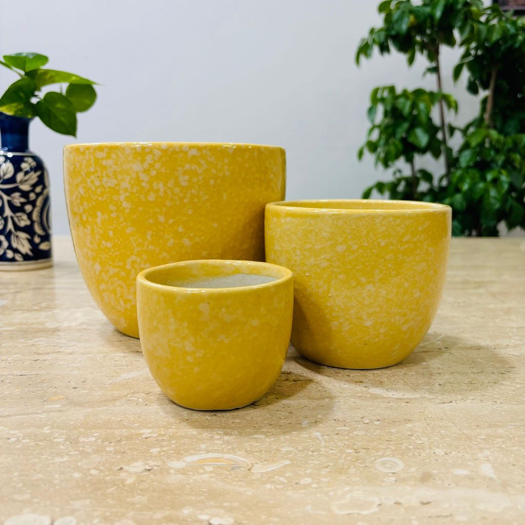 Set of 3 - 3,4 & 5.5 Inch Yellow Tribal Themed Handmade Taper Ceramic Pot - Minimalist Glossy Succulent Pot, Indoor Flower Pot for Home and Office Decor