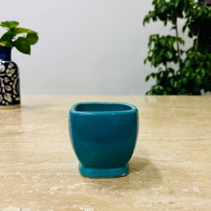 Buy 3 Inch Sky Blue Stylish Square Shaped Ceramic Pot - Minimalist Glossy Succulent Pot, Indoor Flower Pot for Home and Office Décor Online | Urvann.com