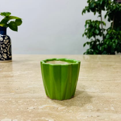 Buy 4 Inch Vibrant Green Ripple Designer Ceramic Pot - Minimalist Glossy Succulent Pot, Indoor Flower Pot for Home and Office Décor Online | Urvann.com