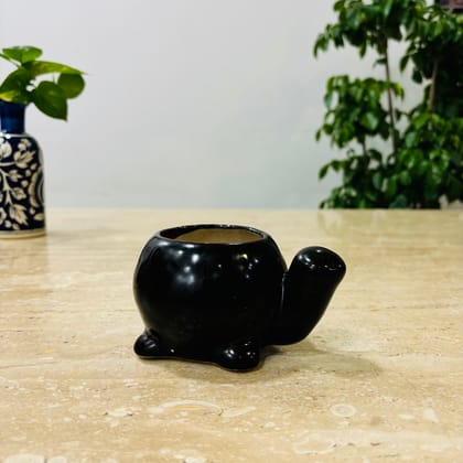 Buy 4 Inch Cute Designer Brown Textured Mini Turtle Shaped Ceramic Pot - Minimalist Glossy Succulent Pot, Indoor Flower Pot for Home and Office Décor Online | Urvann.com