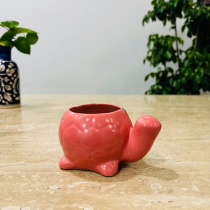 Buy 4 Inch Cute Designer Pink Textured Mini Turtle Shaped Ceramic Pot - Minimalist Glossy Succulent Pot, Indoor Flower Pot for Home and Office Décor Online | Urvann.com