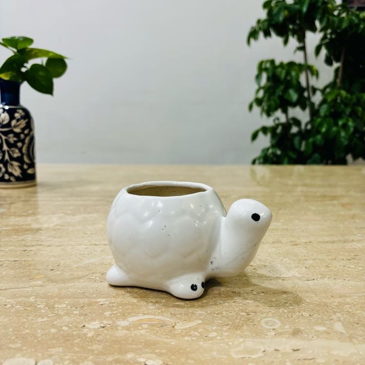 4 Inch Cute Designer White Textured Mini Turtle Shaped Ceramic Pot - Minimalist Glossy Succulent Pot, Indoor Flower Pot for Home and Office Décor