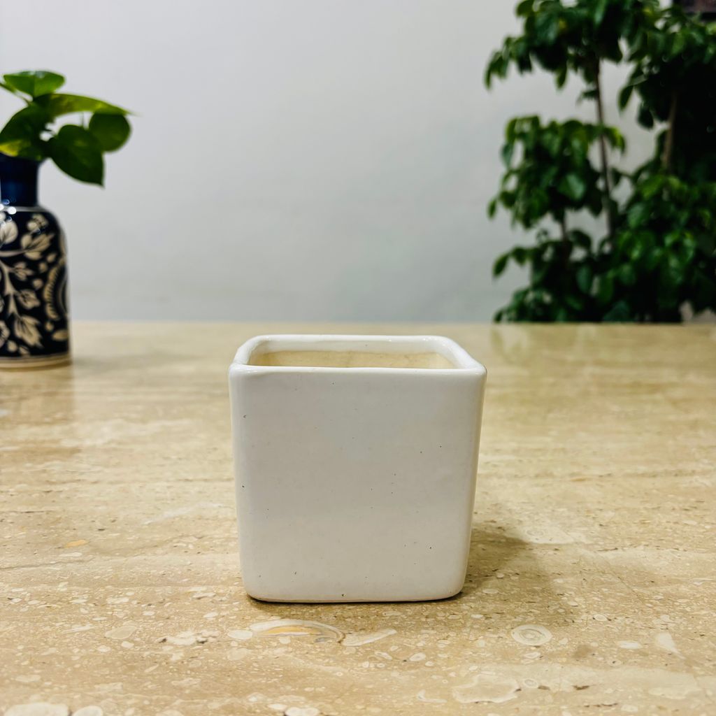 3 Inch Classy White Square Shaped Ceramic Pot - Minimalist Glossy Succulent Pot, Indoor Flower Pot for Home and Office D�cor