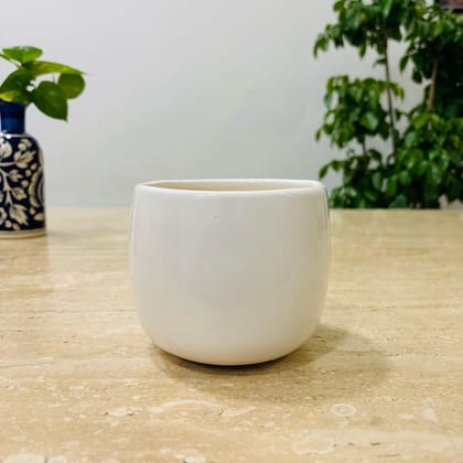 Buy 4 Inch Designer Glossy White Three Legged Pot - Minimalist Glossy Succulent Pot, Indoor Flower Pot for Home and Office Décor Online | Urvann.com