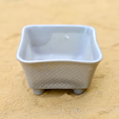 Buy 5x3 Inch Grey Square Bonsai Ceramic Tray – Minimalist Glossy Succulent Pot, Indoor Flower Pot for Home and Office Décor Online | Urvann.com