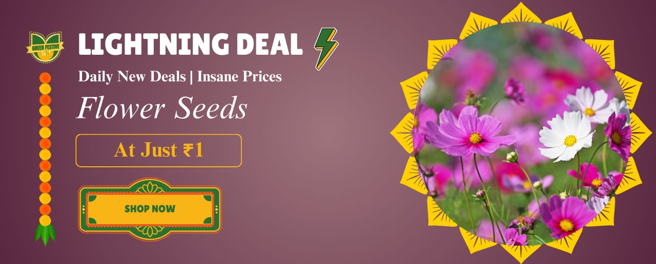 Lightning Deal - Flower seeds