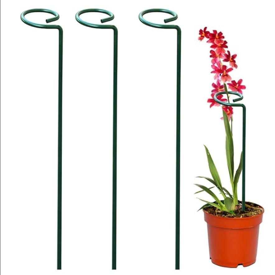 Set of 12 - 18 Inch Green Plant Stem Supporter Strong and Durable Garden Plant Trellis | Anti Rust Powder Coated - 12 Pcs