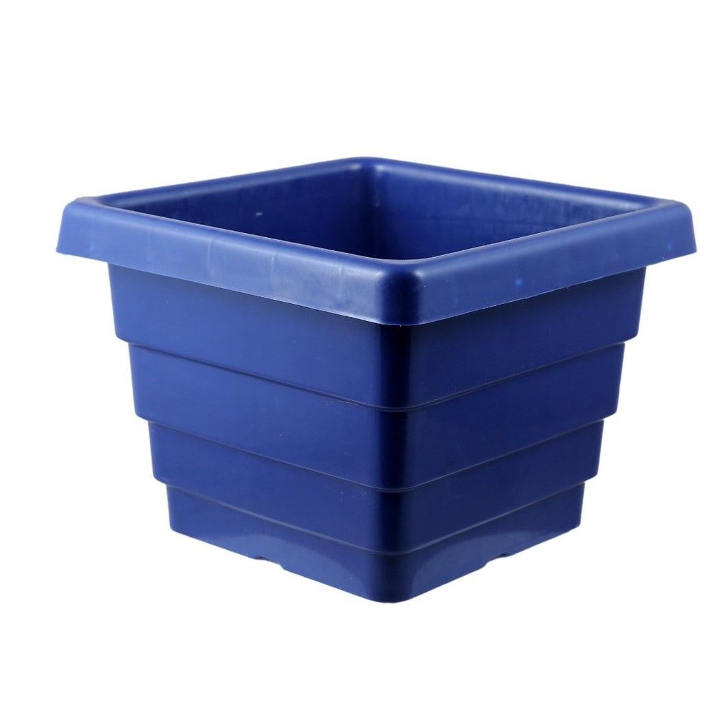 4 Inch Blue Premium Orchid Square Plastic Pot