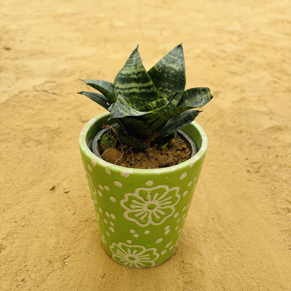 Snake Green in 5.25 Inch Green Floral Designer Balti Shaped Ceramic Pot,Pots:Ceramic Planters:Royal Ceramic Pots