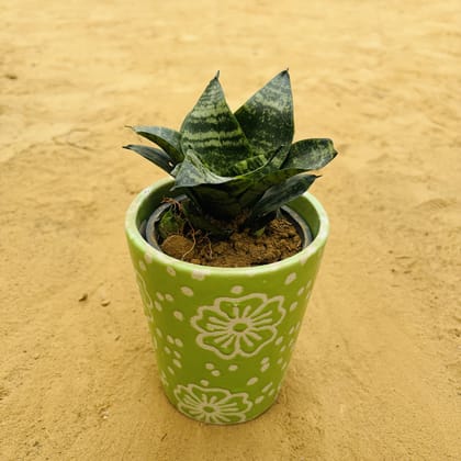 Buy Snake Green in 5.25 Inch Green Floral Designer Balti Shaped Ceramic Pot,Pots:Ceramic Planters:Royal Ceramic Pots Online | Urvann.com