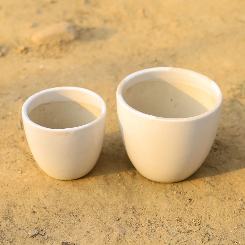 ATUL3889 - Set of 2 - (6 & 8 Inch) Classy White Cup Ceramic Pot,Pots:Ceramic Planters:Royal Ceramic Pots