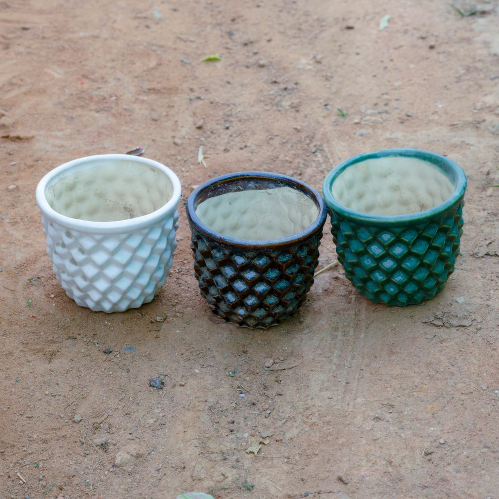 Set Of 3 - 4 Inch White Pineapple Designer Ceramic Pot (Any Colour)