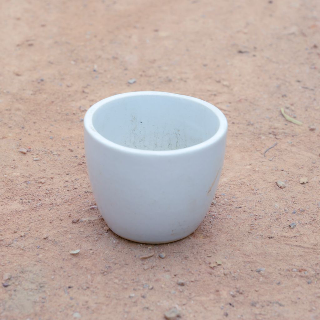 3 Inch White Cup Ceramic Pot