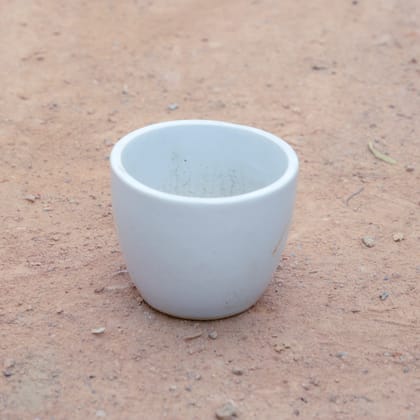 Buy 3 Inch White Cup Ceramic Pot Online | Urvann.com