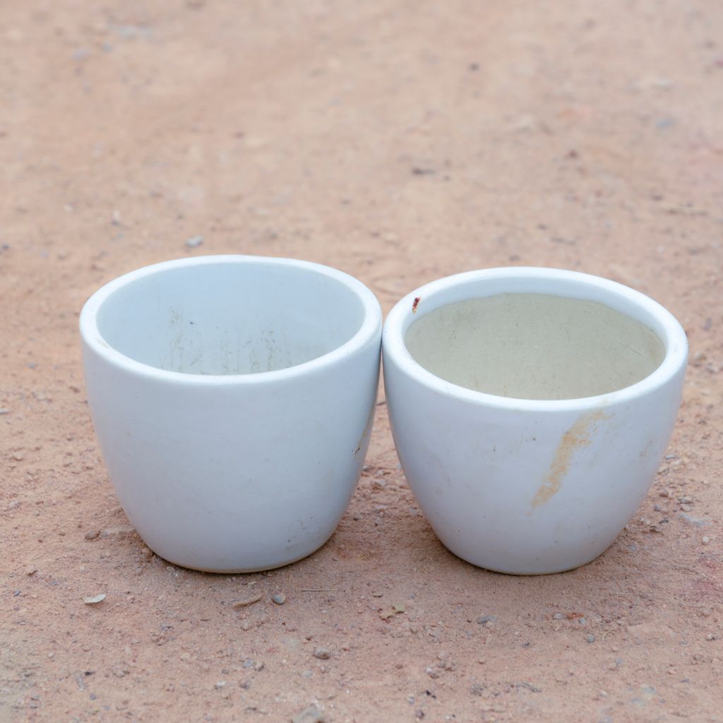 Set Of 2 - 3 Inch White Cup Ceramic Pot