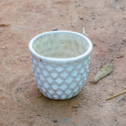 Buy 4 Inch White Pineapple Designer Ceramic Pot Online | Urvann.com