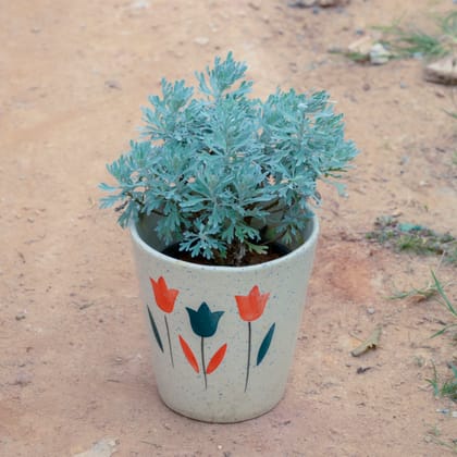 Buy Lavender in 7 Inch White Balti Designer Ceramic Pot (Any Design) Online | Urvann.com