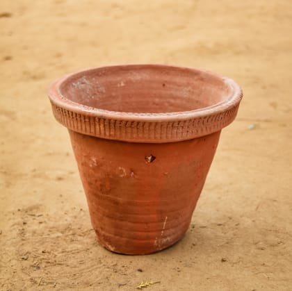 8 Inch Standard Collar Terracotta Clay Pot - Handcrafted, Eco-Friendly Planter for Indoor & Outdoor Use