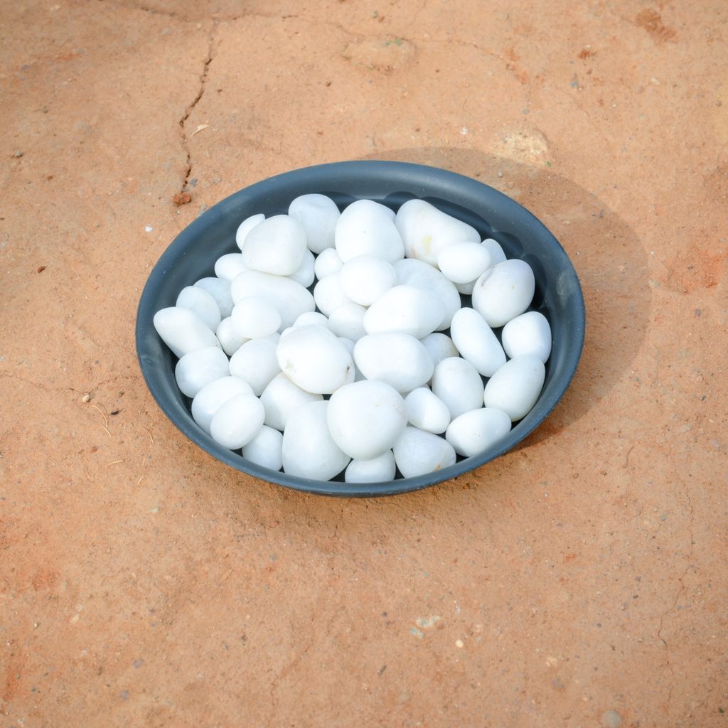 Decorative White Pebbles - 1 Kg