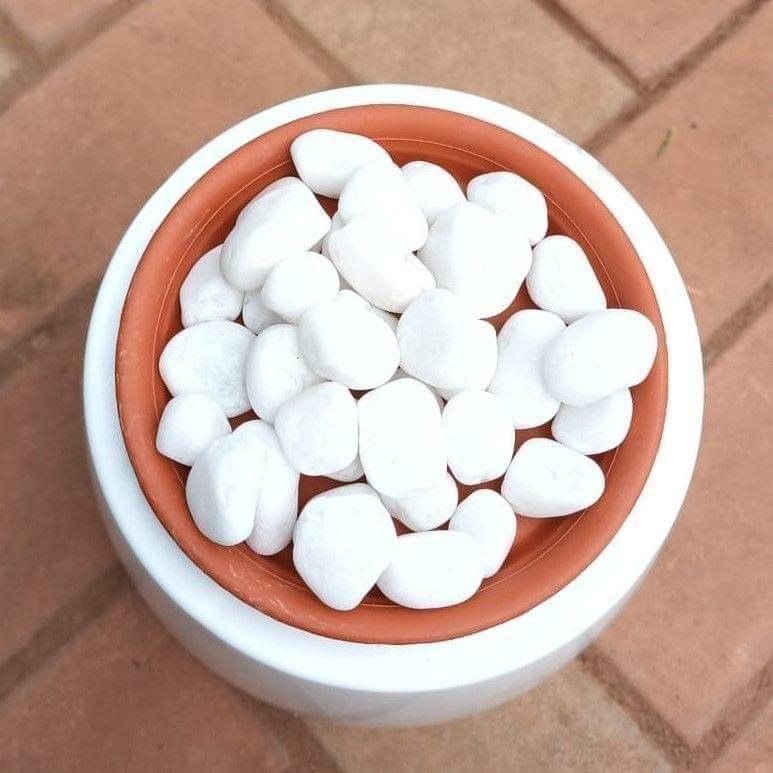 Decorative White Big Polished Pebbles - 1 kg