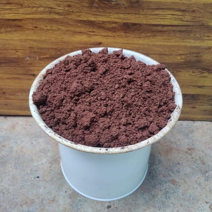 Buy Red Soil - 1 kg Online | Urvann.com