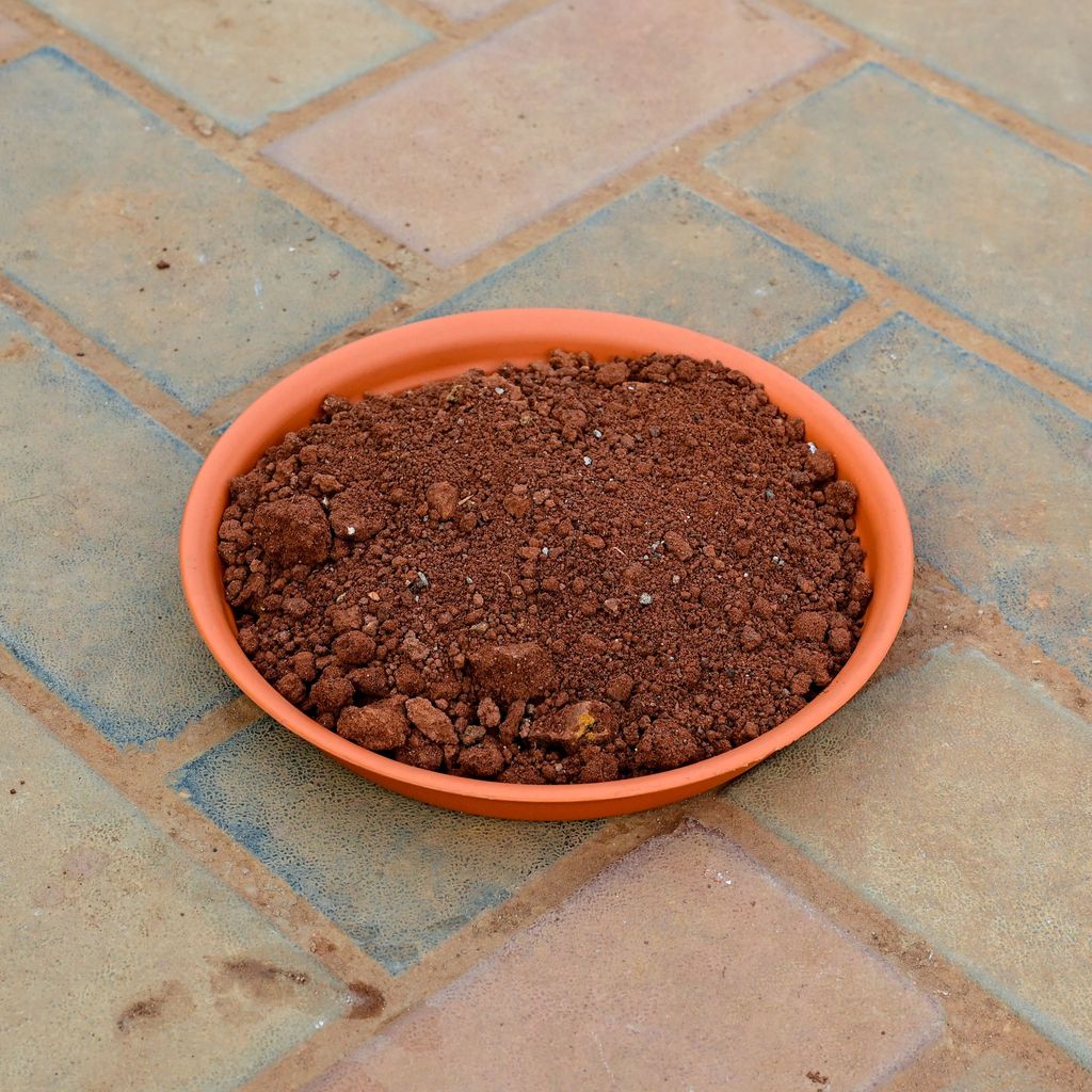 Red Soil - 1Kg