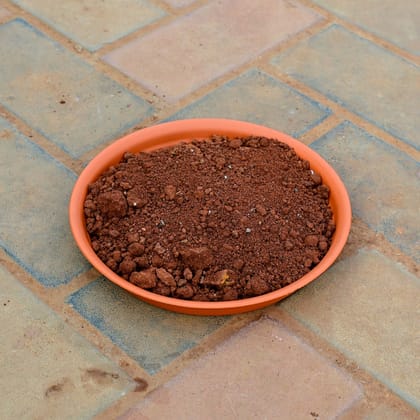 Buy Red Soil - 1Kg Online | Urvann.com