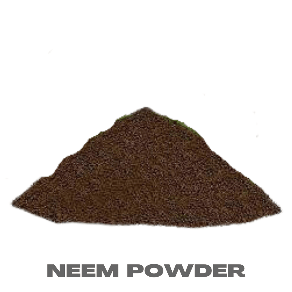 Neem Powder - 1 kg