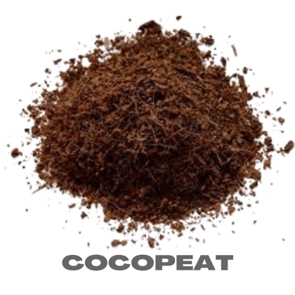 Buy Cocopeat - 1 kg Online | Urvann.com