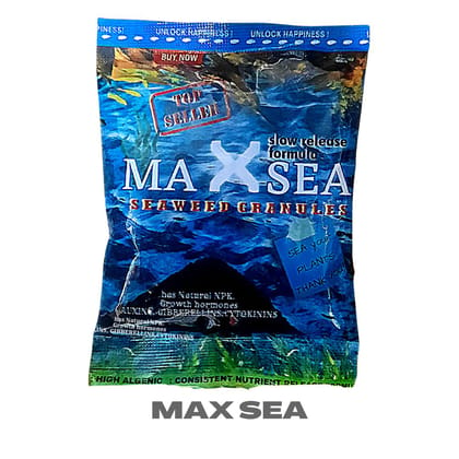 Buy Max sea Pouch - 100 Gm Online | Urvann.com