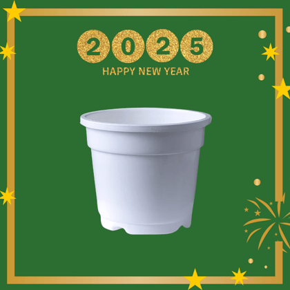 Free Gift - 4 Inch White Nursery Pot - Flash Sale