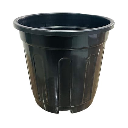 Free Gift - 6 Inch Black Super Nursery Pot - Flash Sale