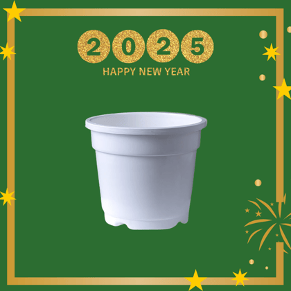 Free Gift - 4 Inch White Nursery Pot - Flash Sale