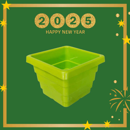 Free Gift - 4 Inch Green Premium Orchid Square Plastic Pot - Flash Sale