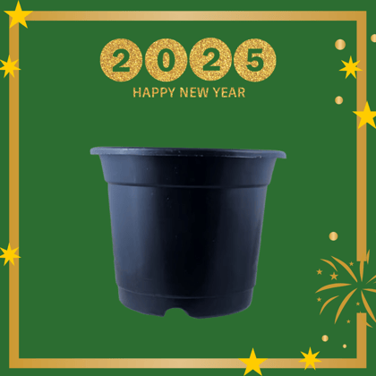 Free Gift - 4 Inch Black Nursery Pot - Flash Sale