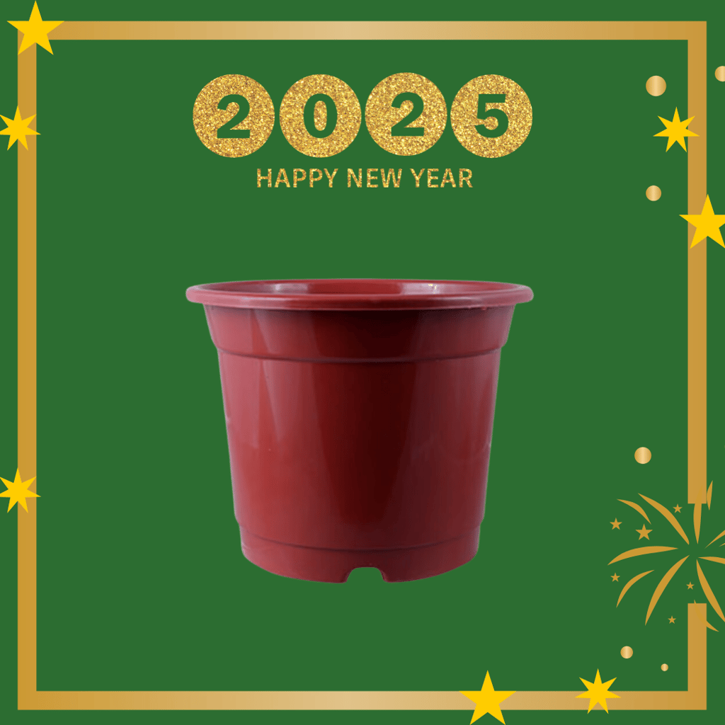 Free Gift - 4 Inch Red Nursery Pot - Flash Sale