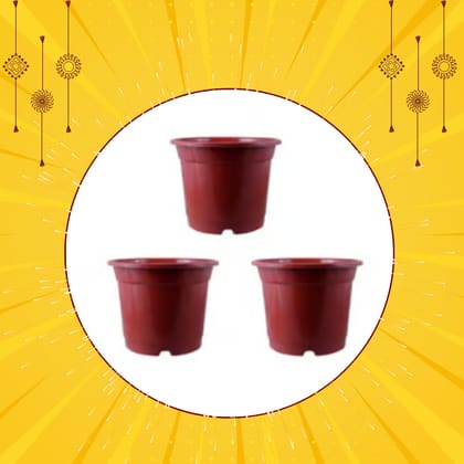 Free Gift - Set of 03 - 4 Inch Red Nursery Pot - Flash Sale