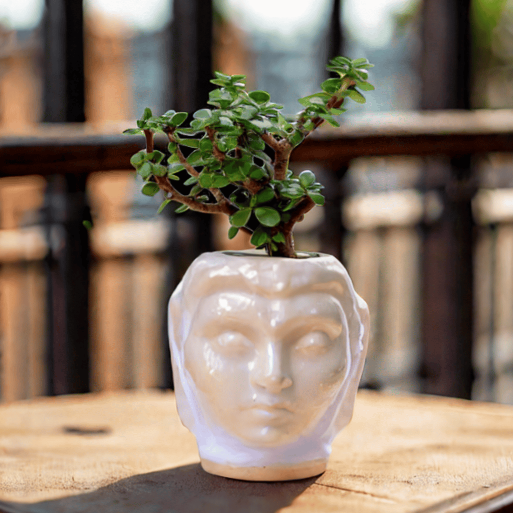 Jade in 4 Inch Classic White Buddha Designer Ceramic Pot