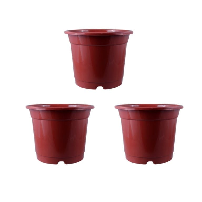 Set of 03 - 4 Inch Red Nursery Pot