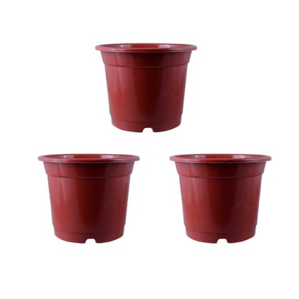 Buy Set of 03 - 4 Inch Red Nursery Pot Online | Urvann.com