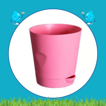 Free Gift - 4 Inch Pink Florence Self Watering Pot - Flash Sale