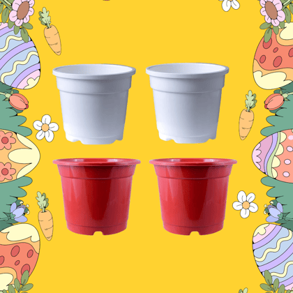 Free Gift - Set of 04 -  4 Inch Red & White Nursery Pot (2-2 Each)