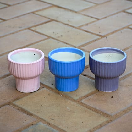 Set of 3 - 4 inch (Pink, Blue & Purple) Hourglass Designer Ceramic Pot