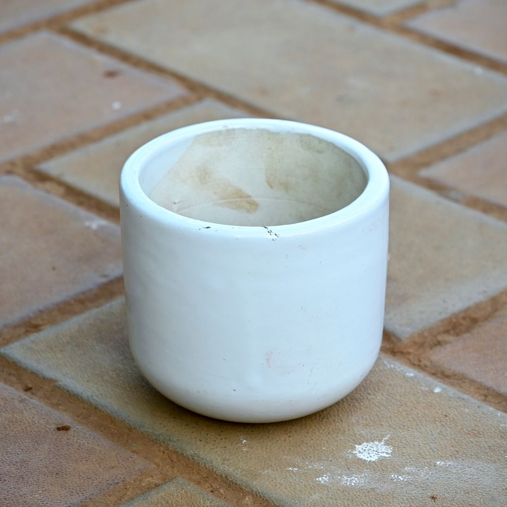 4 Inch Classy White Cup Ceramic Pot in 4 Inch Ceramic Pot