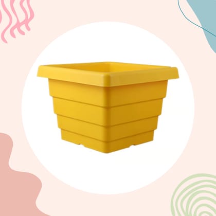 Free Gift - 4 Inch Yellow Premium Orchid Square Plastic Pot - Flash sale