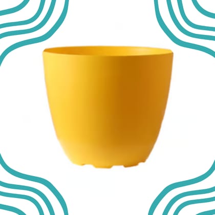 Free Gift - 6 Inch Yellow Premium Orchid Round Plastic Pot - Flash Sale