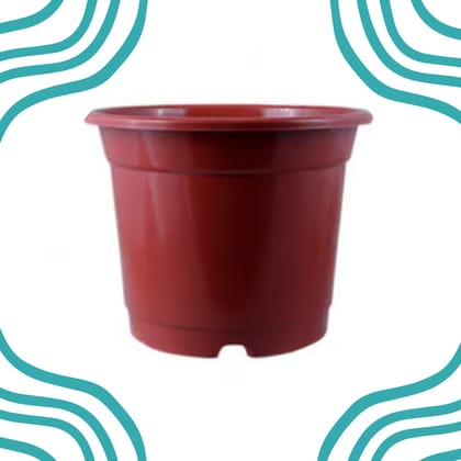 Free Gift - 8 Inch Red Nursery Pot - Flash Sale